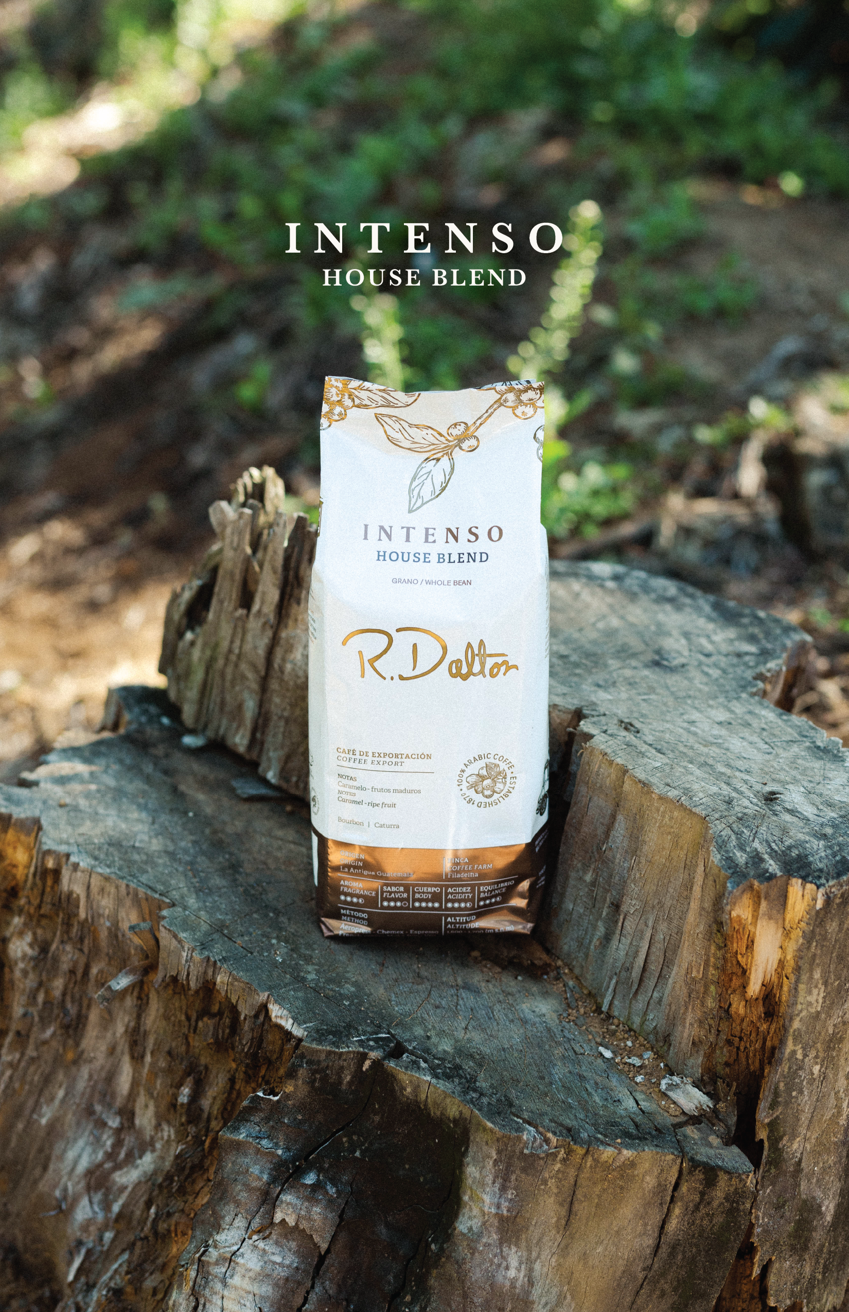 3) R. Dalton Coffee Intenso House Blend - 340g
