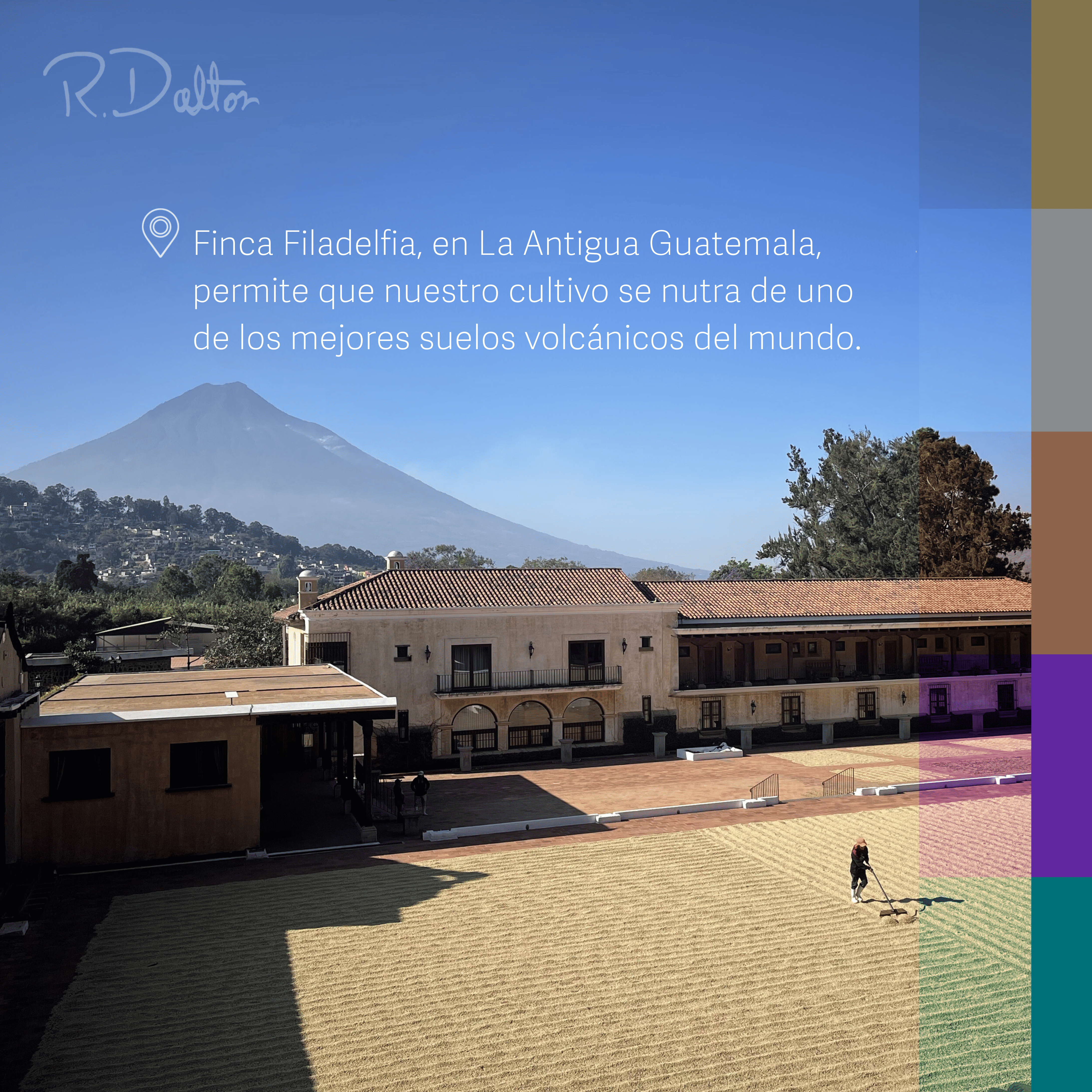 1) R. Dalton Coffee Sublime Genuine Antigua - 340g