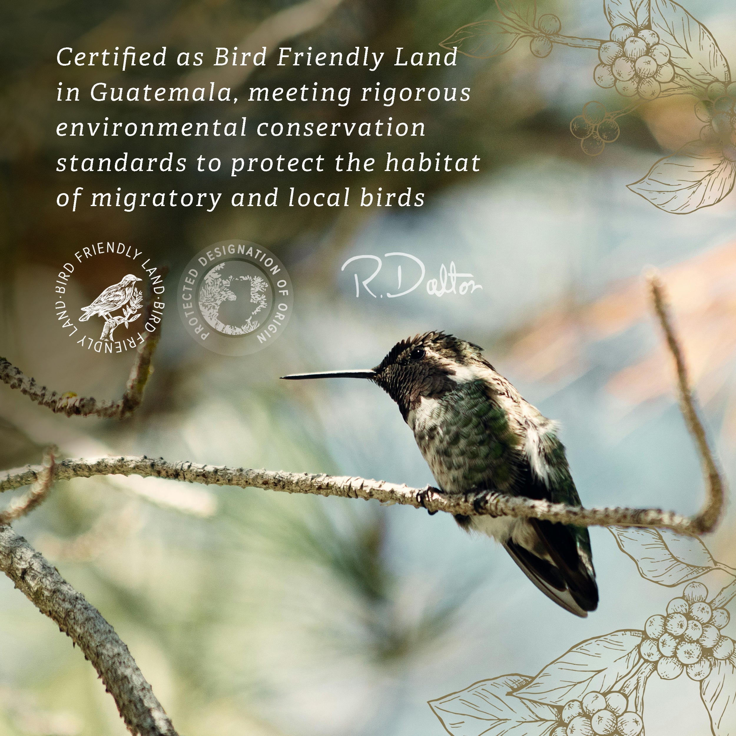 2) R. Dalton Coffee Supremo Estate Blend Coffee - 340g