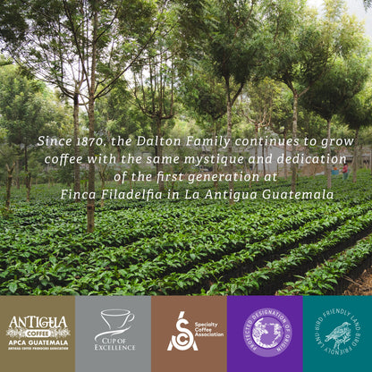 2) R. Dalton Coffee Supremo Estate Blend Coffee - 340g